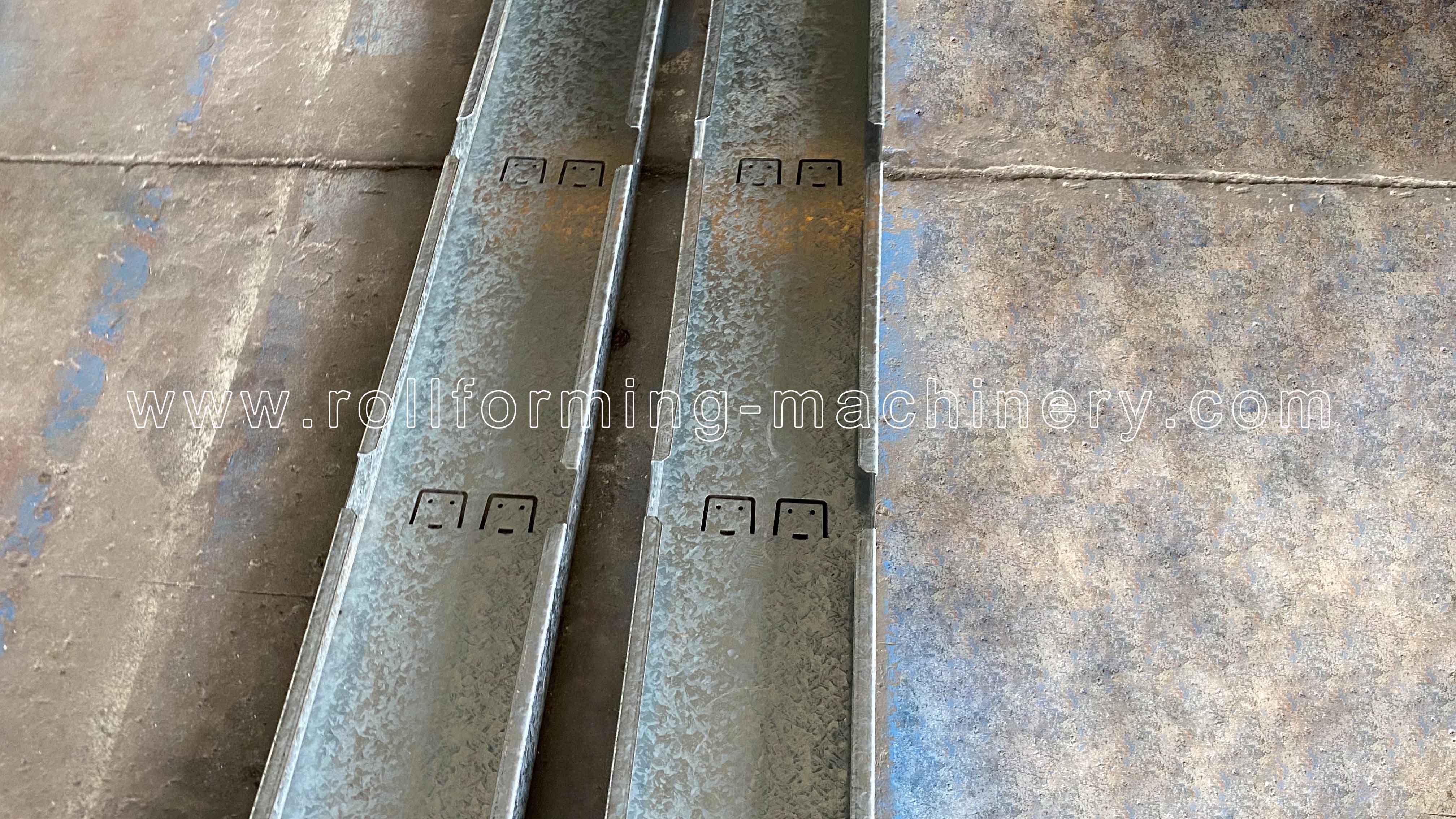 تظهر المنتجات